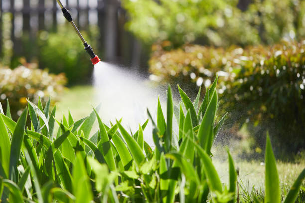 Tamper-Resistant Bait Stations for Rodents in Raymond
