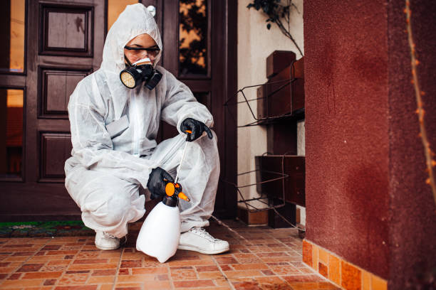 Attic and Crawl Space Rodent Treatment in Raymond